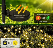 "ColorWave - Onde di luce, magie di colore"